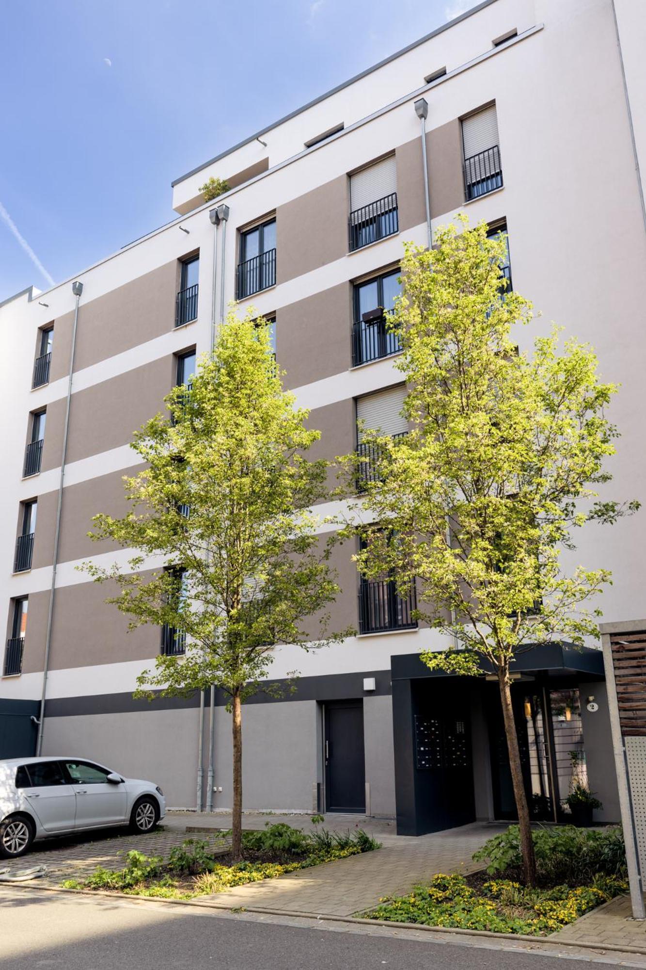 Pineapple Apartments Dresden Zwinger I - 80 Qm - 1X Free Parking المظهر الخارجي الصورة